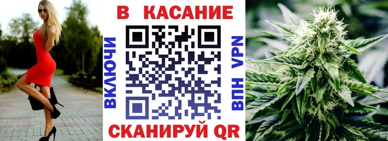 Конопля Мышкин