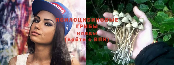 MESCALINE Магас